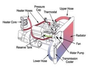 Coolant System Flush
